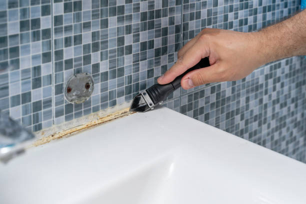 Reliable Clarence Center, NY Mold Removal Solutions