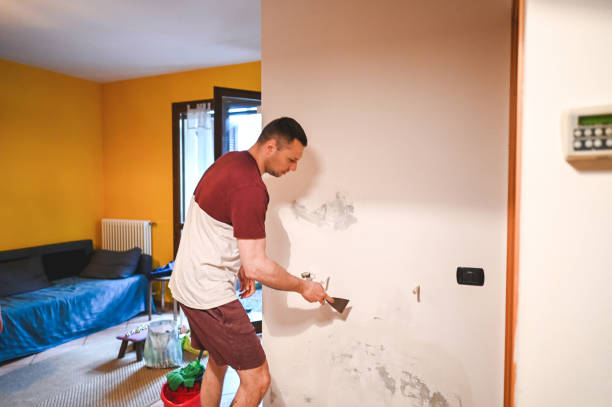 Best Office Mold Removal Services  in Clarence Center, NY