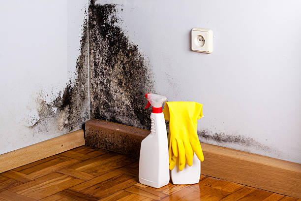 Best Crawl Space Mold Removal  in Clarence Center, NY