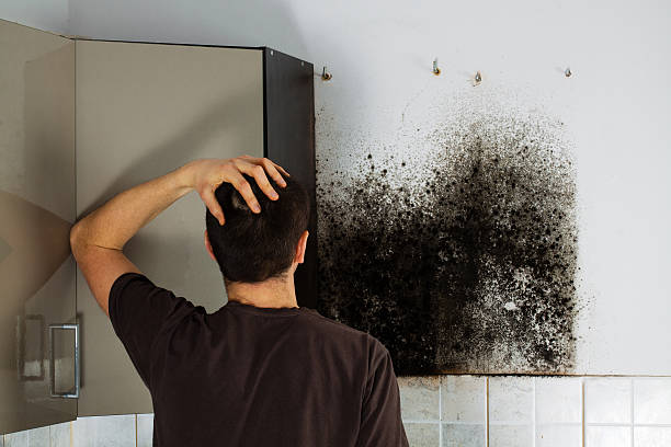 Best Emergency Mold Removal  in Clarence Center, NY
